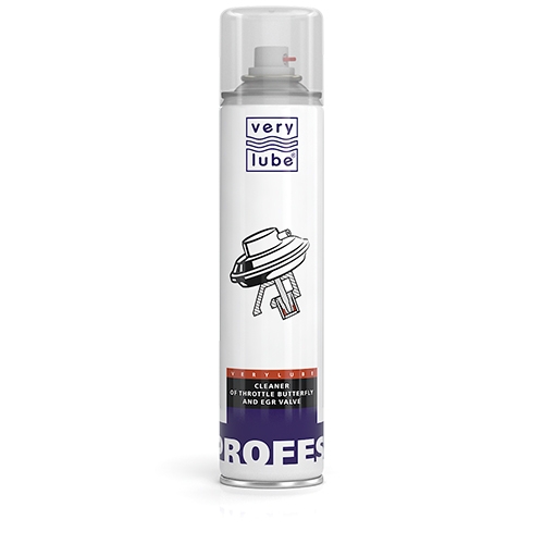 SPRAY CURATAT SUPAPA EGR 320 ML